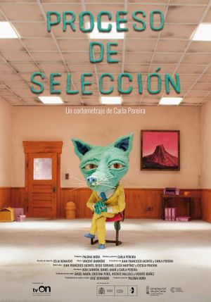 Selection Process's poster