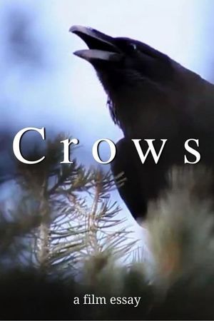 Crows - A film essay's poster