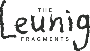 The Leunig Fragments's poster