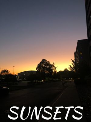 Sunsets's poster