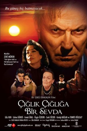 Çiglik Çigliga Bir Sevda's poster