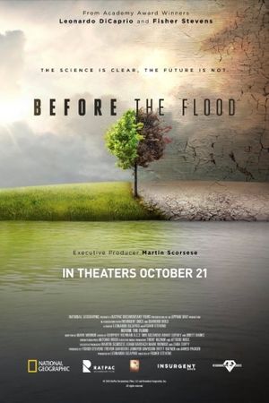 Before the Flood's poster