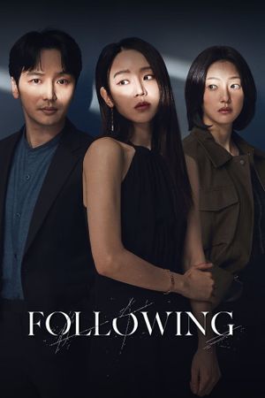 Following's poster