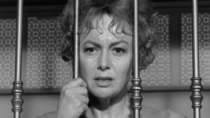 Lady in a Cage's poster