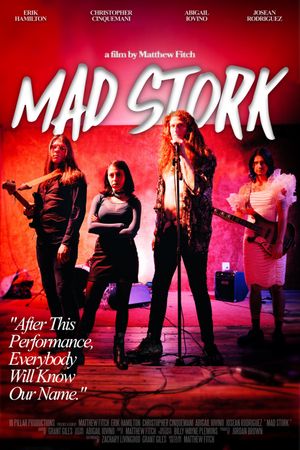 Mad Stork's poster