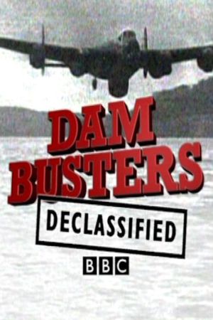Dam Busters Declassified's poster