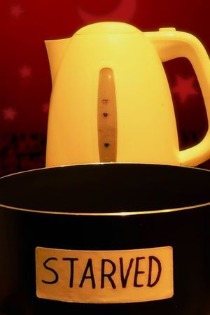 STARVED's poster