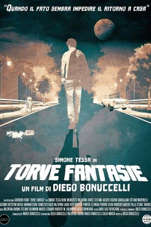 Torve fantasie's poster