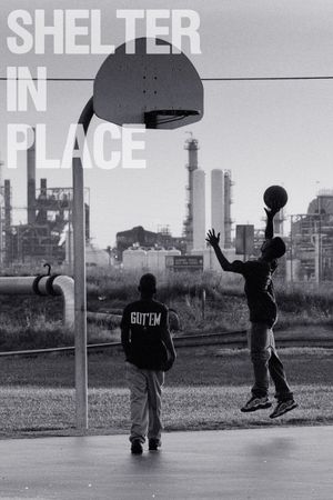 Shelter in Place's poster
