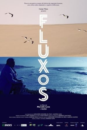 Fluxos's poster