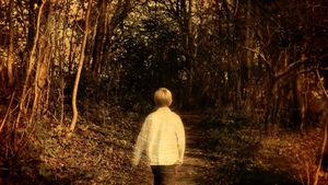 Porcupine Tree: Never Stop the Car on a Drive in the Dark's poster