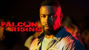 Falcon Rising's poster