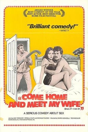 Come Home and Meet My Wife's poster