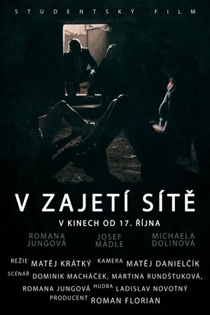 V zajetí sítě's poster image