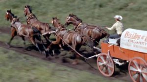 Chuckwagon's poster