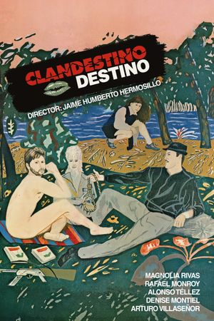 Clandestino destino's poster