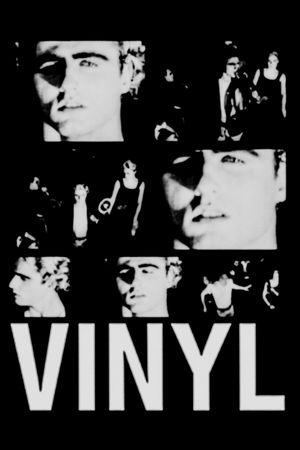 Vinyl's poster