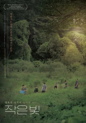 Tiny light's poster