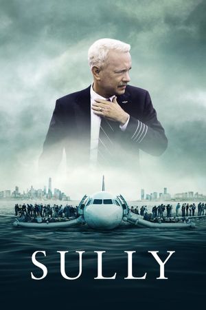 Sully's poster