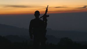 Cartel Land's poster