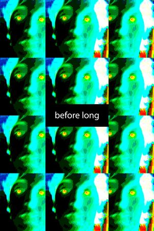 before long's poster