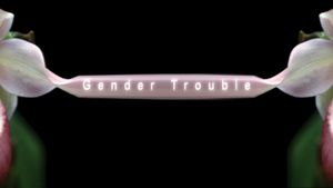 Gender Trouble's poster