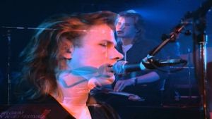 The Jeff Healey Band: Live in Belgium's poster