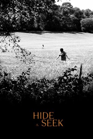 Hide and seek's poster