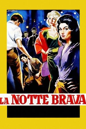 The Big Night's poster