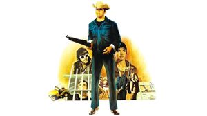 The Born Losers's poster