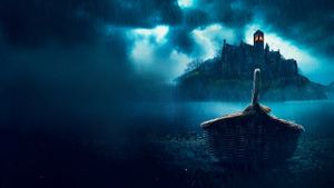 The Baby in the Basket's poster