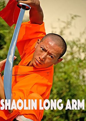 Shaolin Long Arm's poster