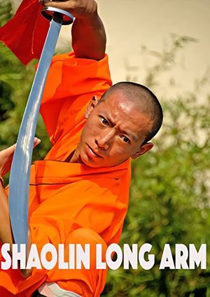 Shaolin Long Arm's poster image