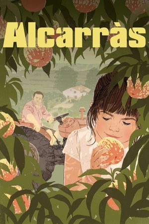 Alcarràs's poster