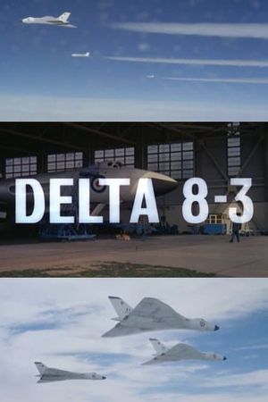 Delta 8-3's poster