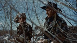 The Searchers's poster