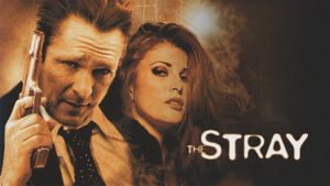 The Stray's poster