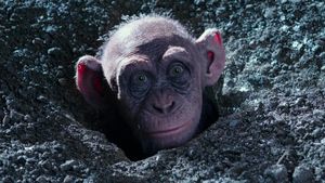 War for the Planet of the Apes's poster