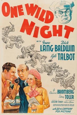 One Wild Night's poster