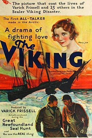 The Viking's poster