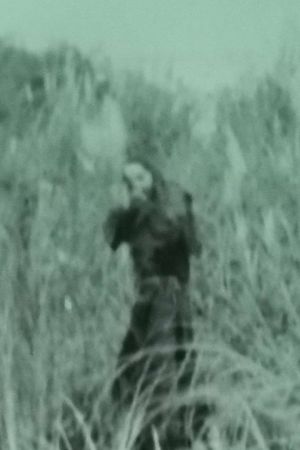 Aswang 1933's poster