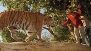 Roar's poster