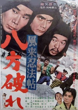 風来忍法帖　八方破れ's poster image