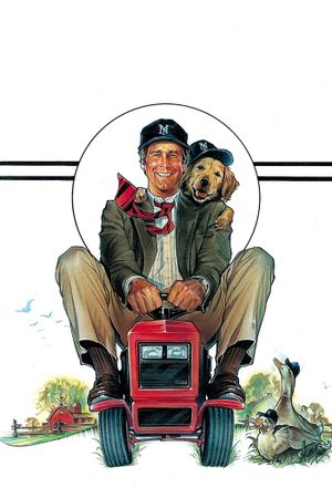 Funny Farm's poster