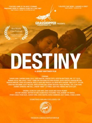 Destiny's poster image