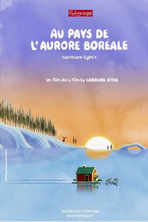 Northern Lights's poster