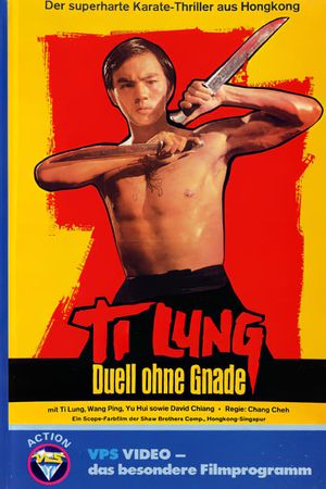 Duel of the Iron Fist's poster