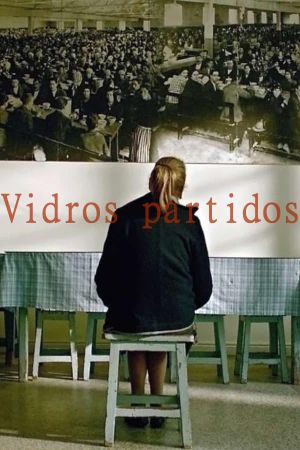Broken Windows's poster
