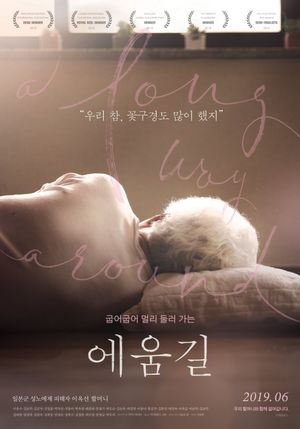 A Long Way Around's poster