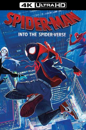 Spider-Man: Into the Spider-Verse's poster